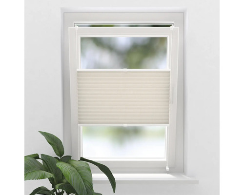 Fönster med plisségardin för insynsskydd och solskydd