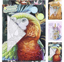 Måla efter nummer set med papegojmotiv, 3 penslar och akrylfärger