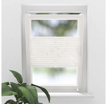 Fönster med plisségardin för ljusreglering