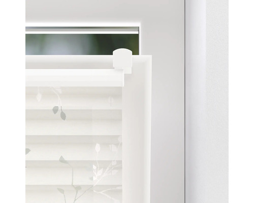 Fönster med plisségardin med bladmönster