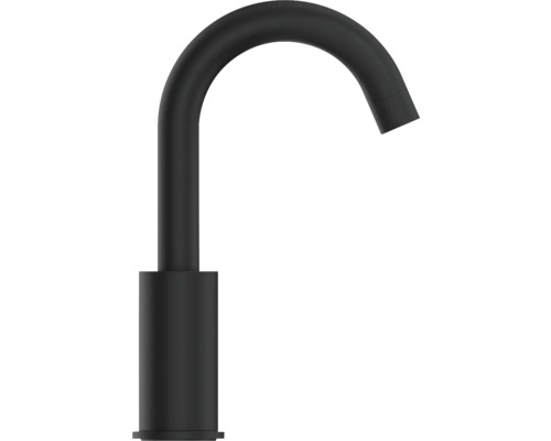 Svart tvättställsblandare med böjd pip