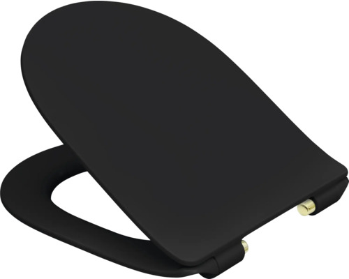 Toalettsits av duroplast