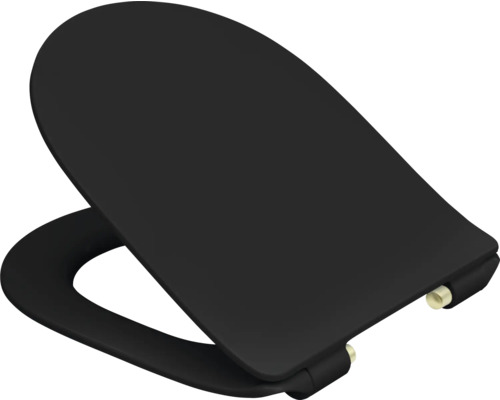 Svart toalettsits