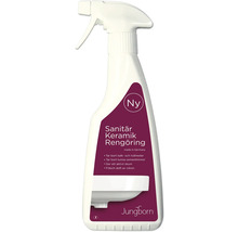 Sprayflaska med sanitär keramikrengöring