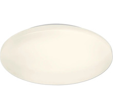 Oval taklampa
