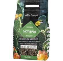 Lechuza Cactuspon specialsubstrat för kaktusar och suckulenter, 6 liter