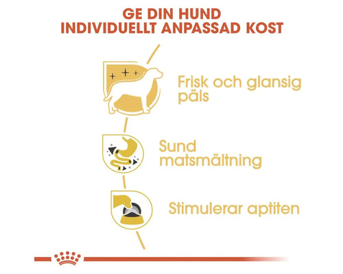 Fördelar med hundfoder: frisk och glansig päls, sund matsmältning och stimulerar aptiten