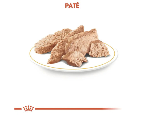 Pate för husdjur på en tallrik