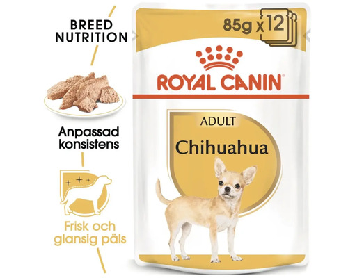 Royal Canin Adult Chihuahua hundmat, 12-pack
