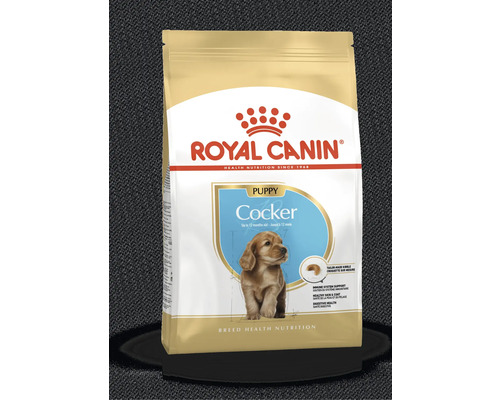 Royal canin best sale cocker puppy