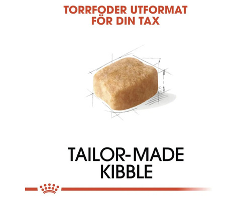 Enstaka bit torrfoder för hundar
