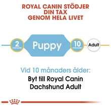 Hundmat ROYAL CANIN Dachshund Puppy 1,5kg-thumb-2