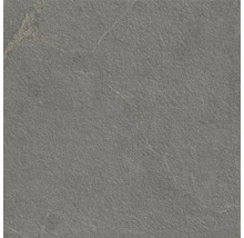 Grå klinker med stenutseende