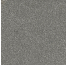 Grå keramisk platta med matt yta