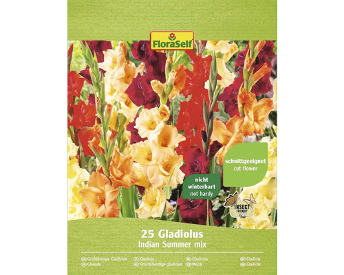 Blomsterlökar FLORASELF Gladiolus Indian Summer 25st