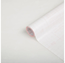 Dekorplast D-C-FIX Glas Opal 90x210cm