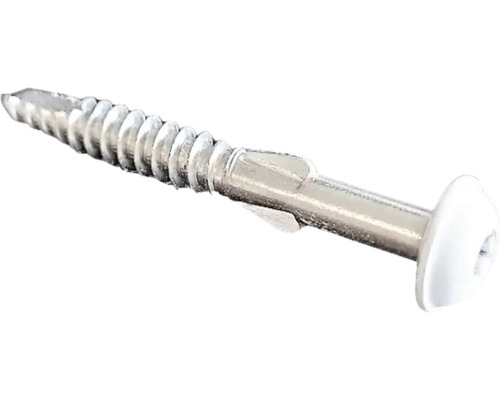 Fasadskruv SWISSPEARL SCR-WW A2 Rock marble 4,8x40 mm Skruv med linshuvud