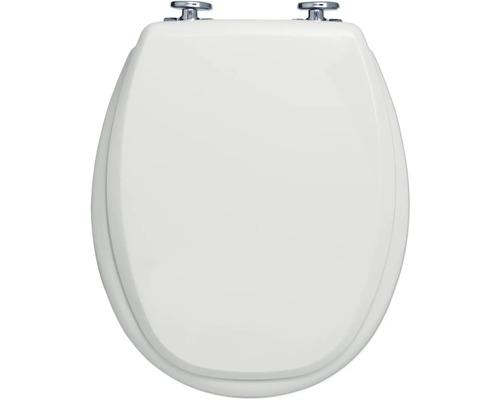 Toalettsits med mjukstängning KAN 2001 grå blank oval
