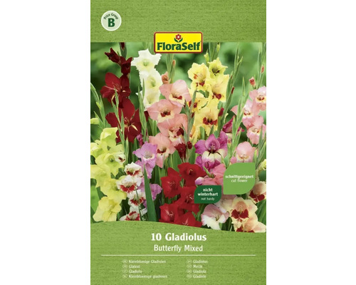 Blomlökar FLORASELF Gladiolus Fjärilsmix 10st