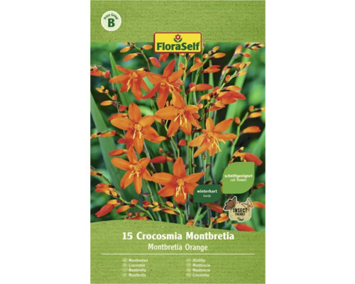 Blomsterlök FLORASELF Crocosmia Iris Orange 15st