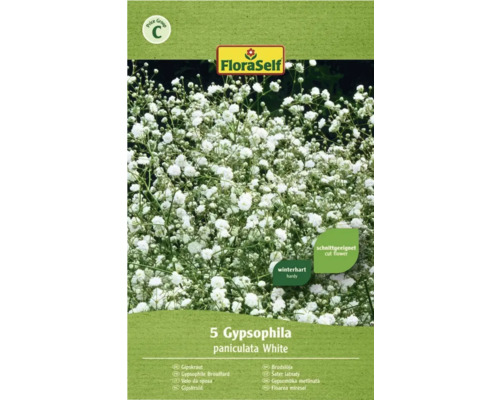 Blomsterlökar FLORASELF Brudslöja White 5st