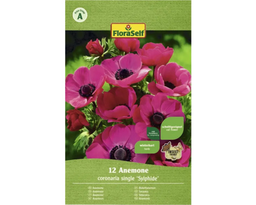 Blomsterlökar FLORASELF Anemoner Sylphide 12st