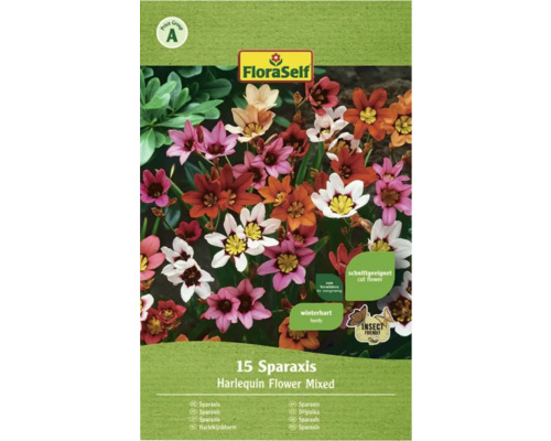 Blomsterlökar FLORASELF Sparaxis Iris Mix 15st