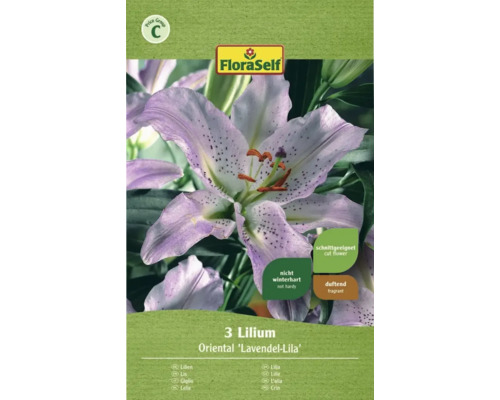 Blomsterlök FLORASELF Lilja Oriental Lavendel 3st