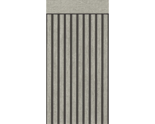 Sockel bård A.S. CRÉATION nowo panel träoptik grå 500x106cm Träpanel med vertikala ränder
