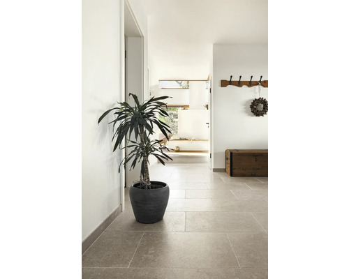 Hall med krukväxt, hatthylla och träkista