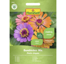 Förpackning med zinniafrön för cirka 30 plantor