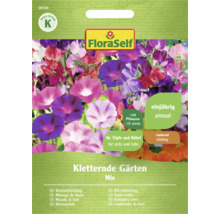 Fröpaket Klätterträdgårdar Mix