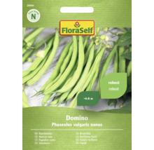 FloraSelf Domino buskböna frön