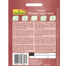 FloraSelf Faraday fröpaket för buskbönor