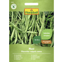 Fröförpackning för Maxi buskbönor från FloraSelf