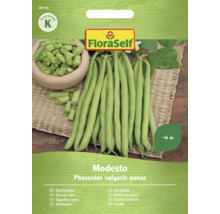 FloraSelf Modesto Fröpaket för buskbönor