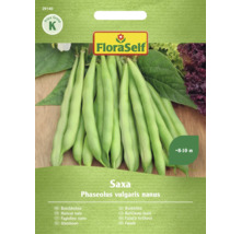 Fröförpackning buskböna Saxa