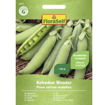 FloraSelf Kelvedon Wonder märgärt frö, sjukdomsresistent, cirka 10 meter