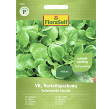 FloraSelf frilandsspenat fröförpackning