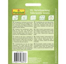 FloraSelf fröer för vintersallat, storpack