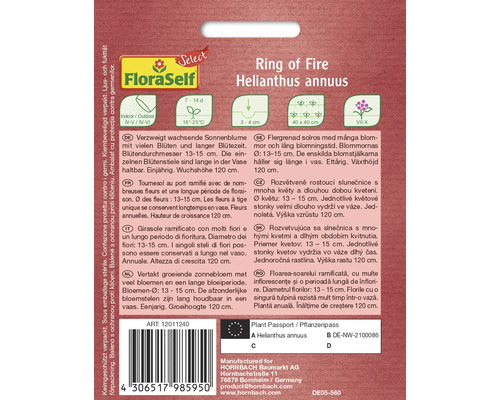 Växtbeskrivning Ring of Fire Helianthus annuus