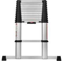 Utskjuten teleskopisk stege av aluminium