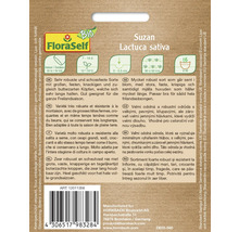 FloraSelf Suzan frö av arten Lactuca sativa