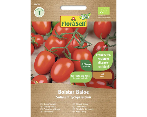 Tomatfrön FLORASELF Bio Körsbärstomat Bolstar Baloe F1