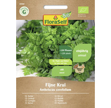 FloraSelf Körvel Fin Krul Fröpaket
