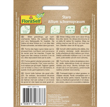 FloraSelf Staro Allium schoenoprasum förpackning