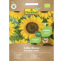 FloraSelf Gelbe Riesen Solrosfröpaket