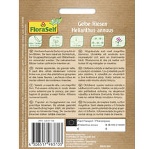 Fröpåse Gelbe Riesen Helianthus annuus