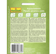 Physalisfrön FLORASELF Kapkrusbär
