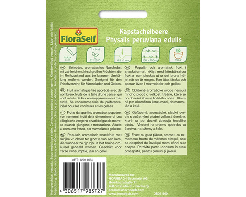 Fröförpackning Kapkrusbär Physalis peruviana edulis